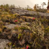 Cañón de las Águilas - Thumbnail Image 10