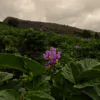 Cañón de las Águilas - Thumbnail Image 14