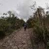 ReverdeSER - Thumbnail Image 2